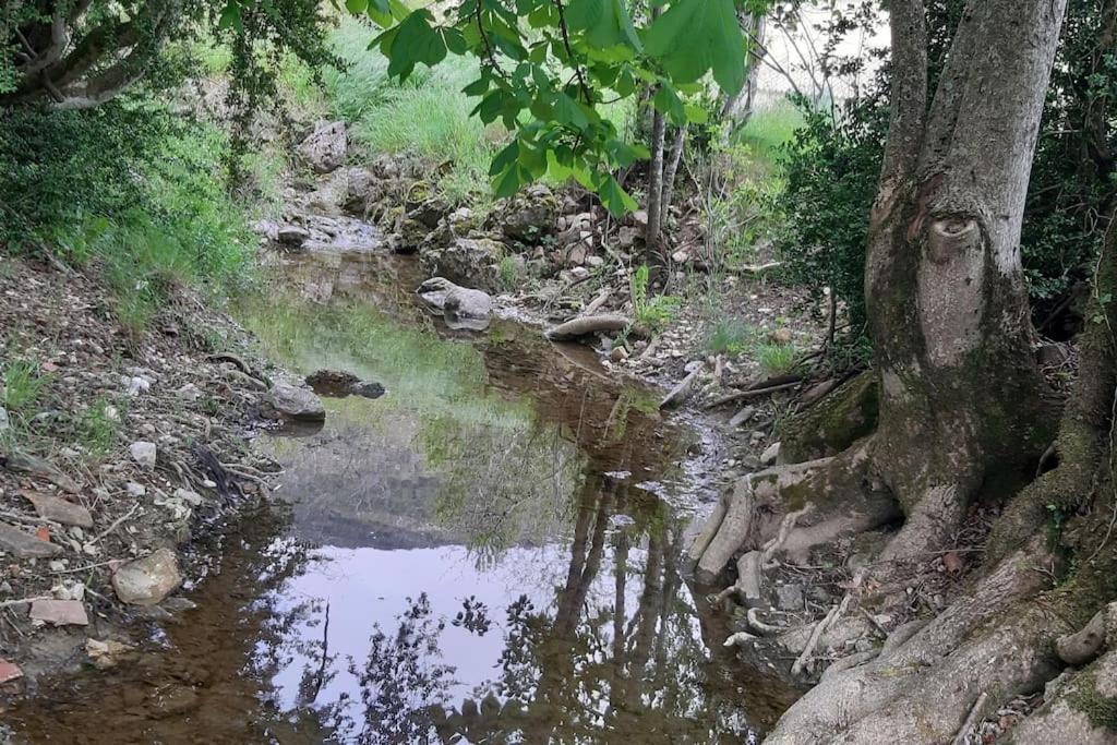 Studio Tout Confort Dans Maison De Caractere La Bastide  Dış mekan fotoğraf